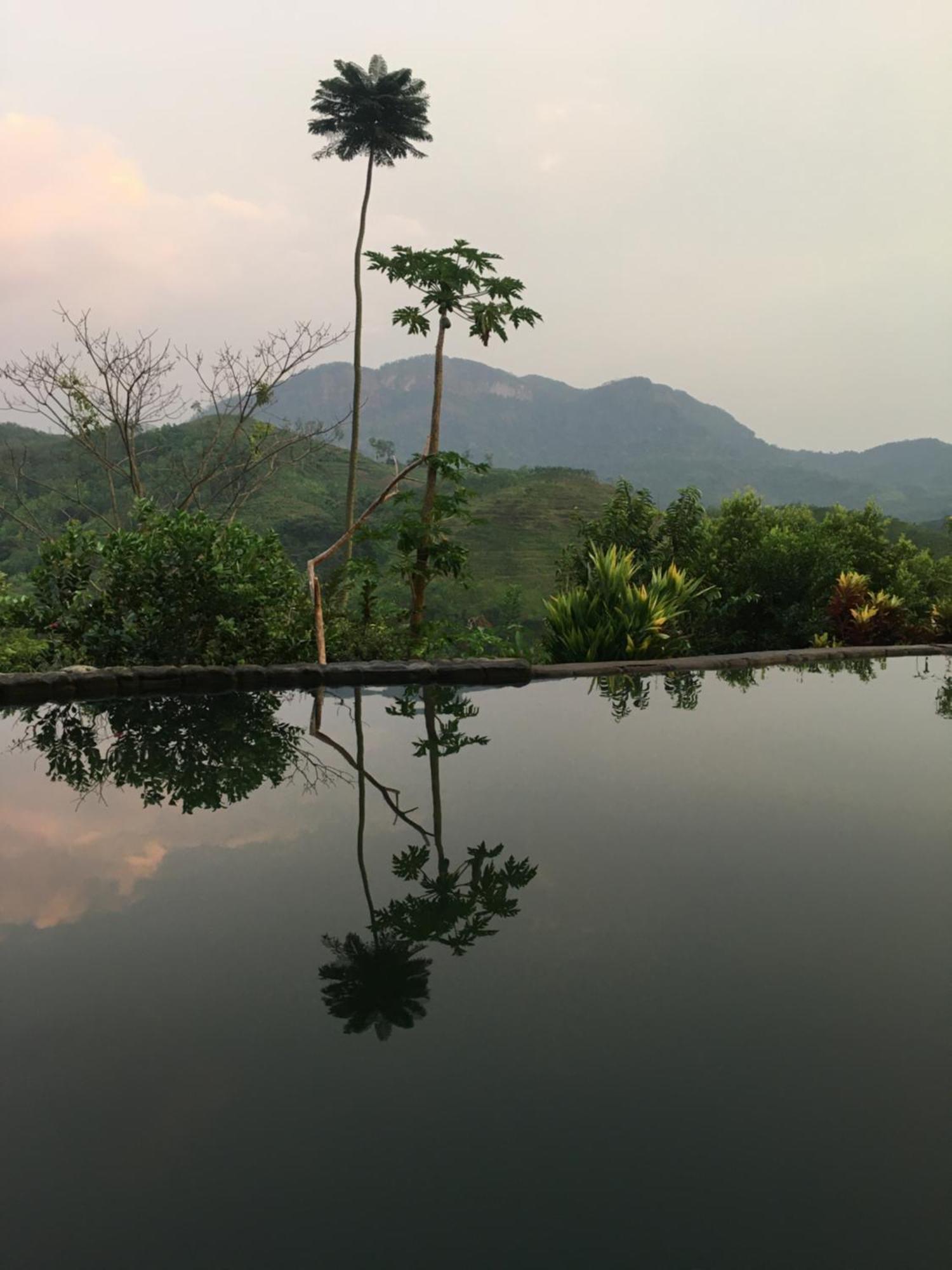 Paradise Eco Garden Kitulgala Buitenkant foto