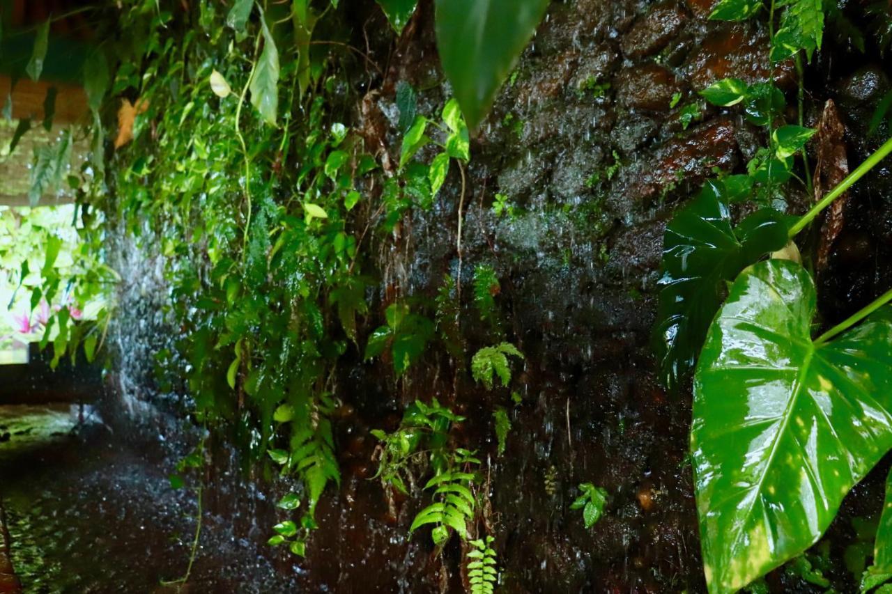 Paradise Eco Garden Kitulgala Buitenkant foto