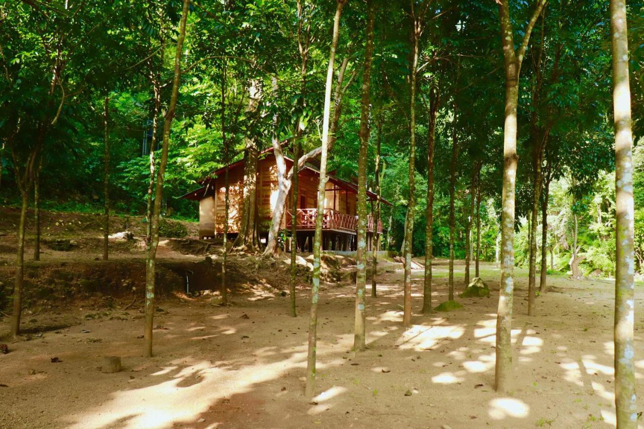 Paradise Eco Garden Kitulgala Buitenkant foto