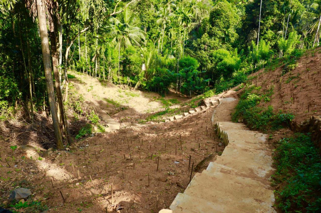 Paradise Eco Garden Kitulgala Buitenkant foto
