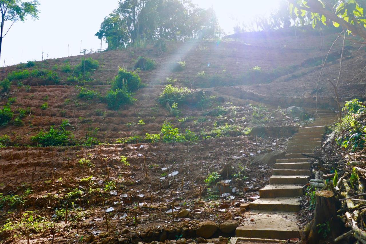 Paradise Eco Garden Kitulgala Buitenkant foto